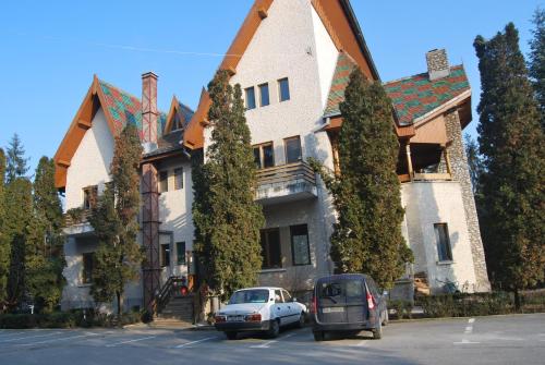 Villa Boierului — Ramnicu Valcea — photo 2