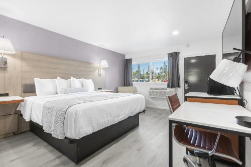 Astro Motel - photo 25