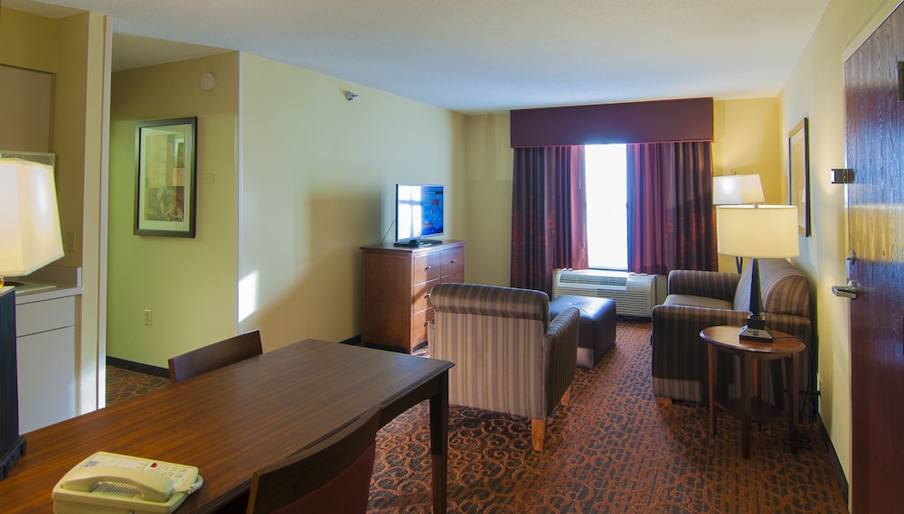 Hampton Inn & Suites Tampa North - photo 24