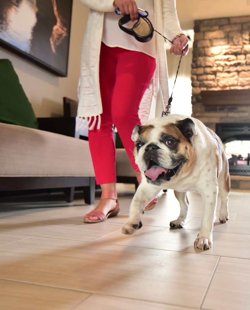 Staybridge Suites Wisconsin Dells Lake Delton by IHG - photo 35