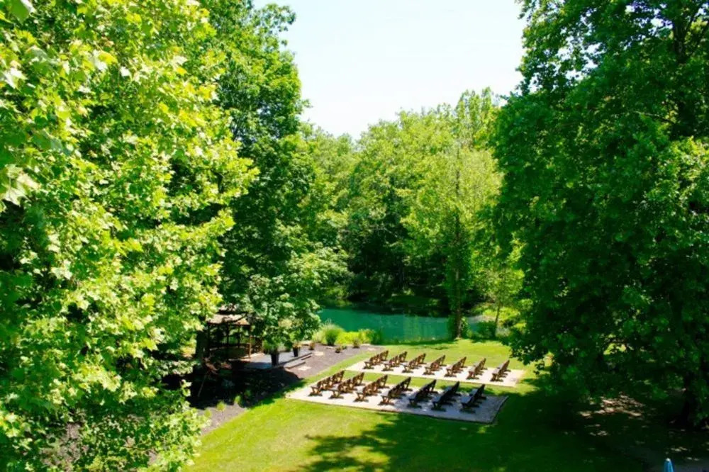 The Yellowwood - photo 37