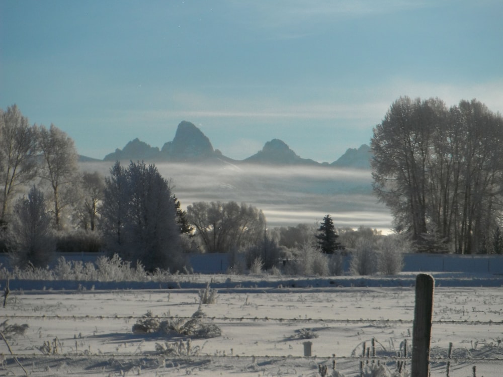 Teton Peaks Resort - photo 80