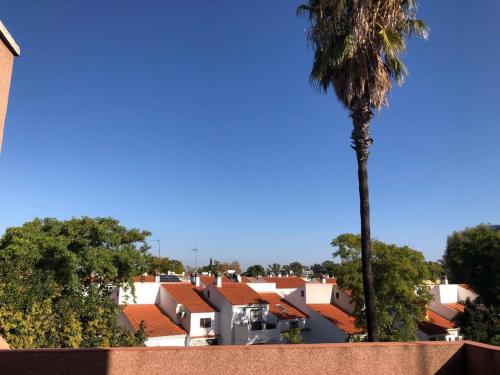Familia Anfitriona Acoge Terraza — Sevilla