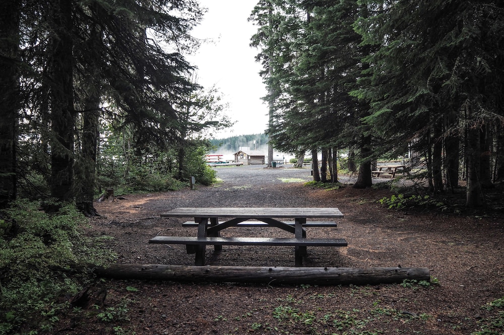 Shelter Cove Resort and Marina - photo 66