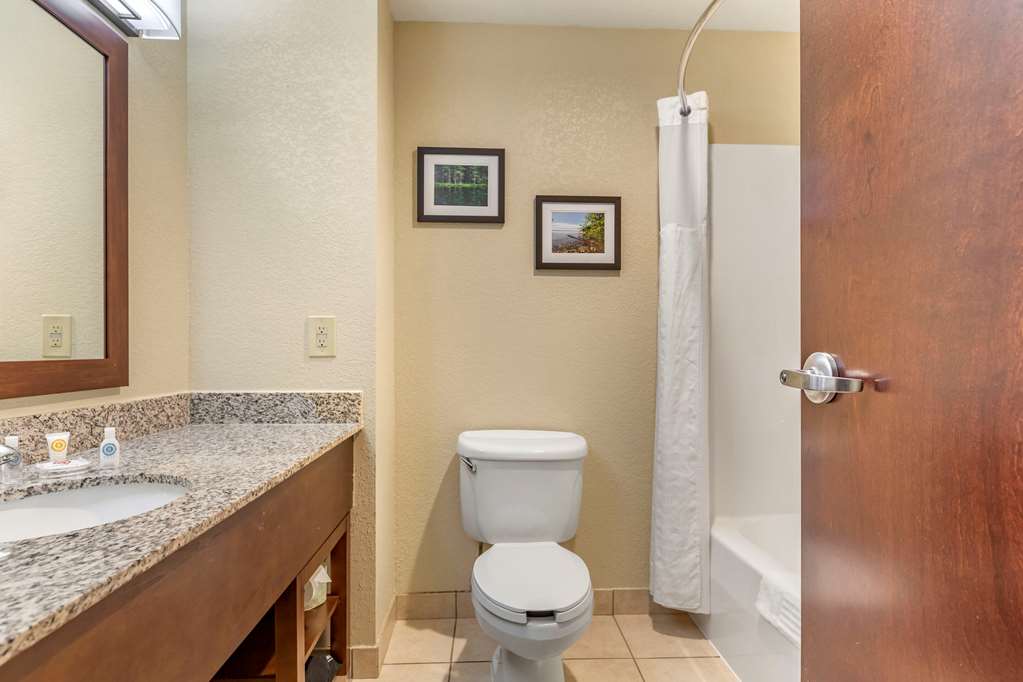 Comfort Suites Grand Rapids North - photo 25