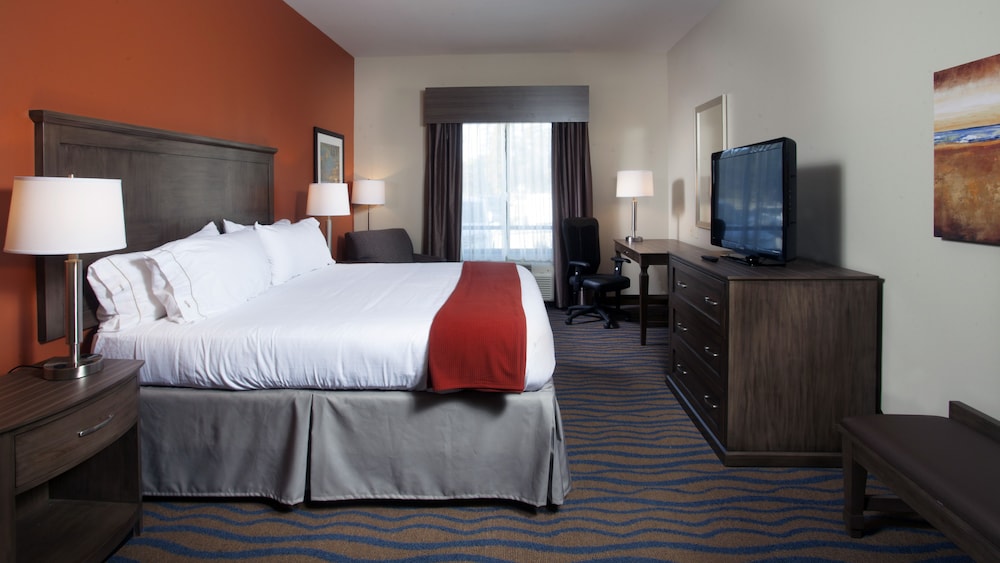Holiday Inn Express Hotel & Suites Morgan City Tiger Island by IHG - photo 9