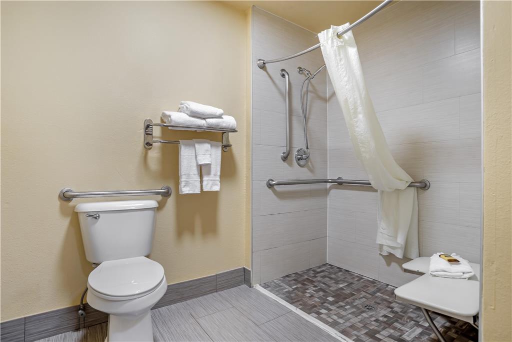 Best Western Plus Bessemer Hotel & Suites - photo 38
