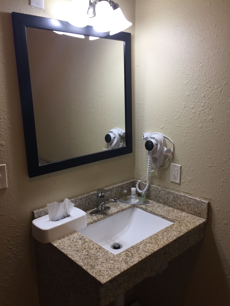 Cobblestone Hotel & Suites Pecos - photo 31