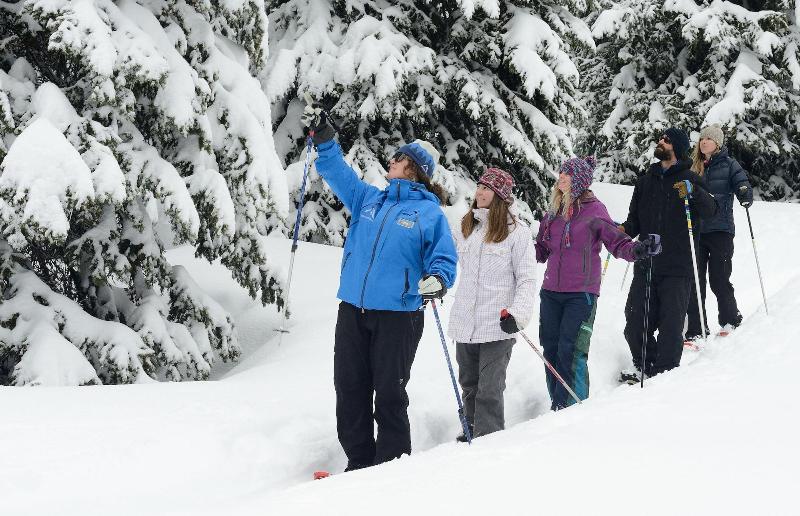 Sioux Lodge Suites by Grand Targhee Resort - photo 87