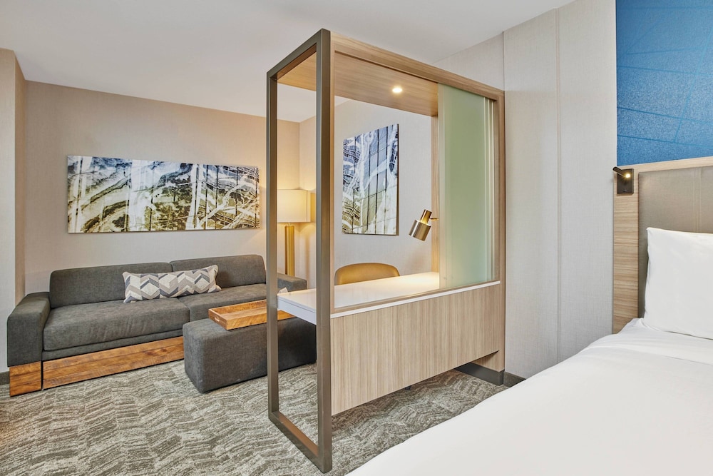 SpringHill Suites by Marriott Chicago Chinatown - photo 12
