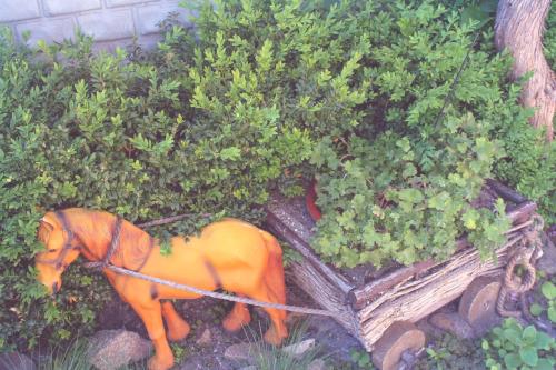 Mini hotel Ekonomnaya Derevnia in Berdyansk, Ukraine