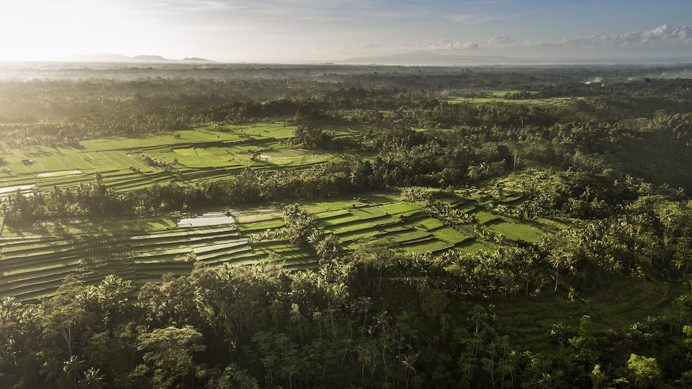 COMO Shambhala Estate — 5-Star Luxury Hotel in Ubud, Indonesia