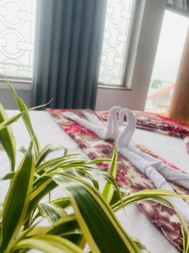 Farah Guest Inn in Haputale, Sri Lanka