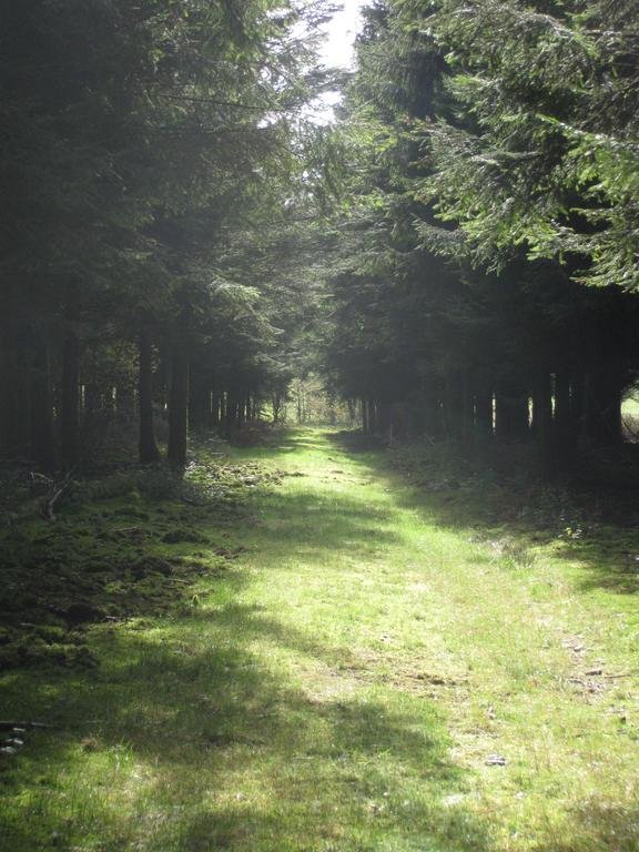 Les Terriers Saint Hubert in Saint-Hubert, Belgium