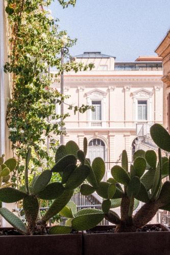 Casa Calamondino — 4-Star Luxury Hotel in Bari, Italy
