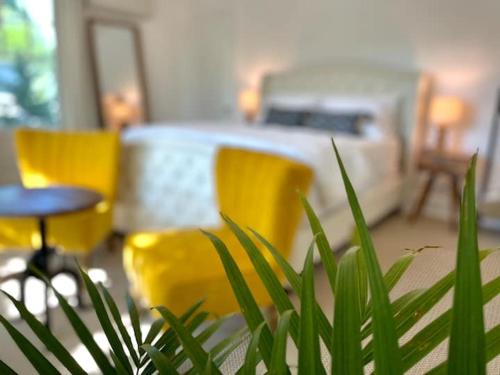 Buttonwood Boutique Hotel - photo 79