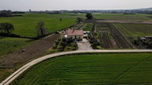 Secitrovi in Fano, Italy