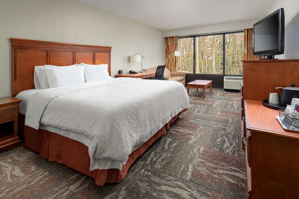 Hampton Inn Oak Ridge Knoxville - photo 8