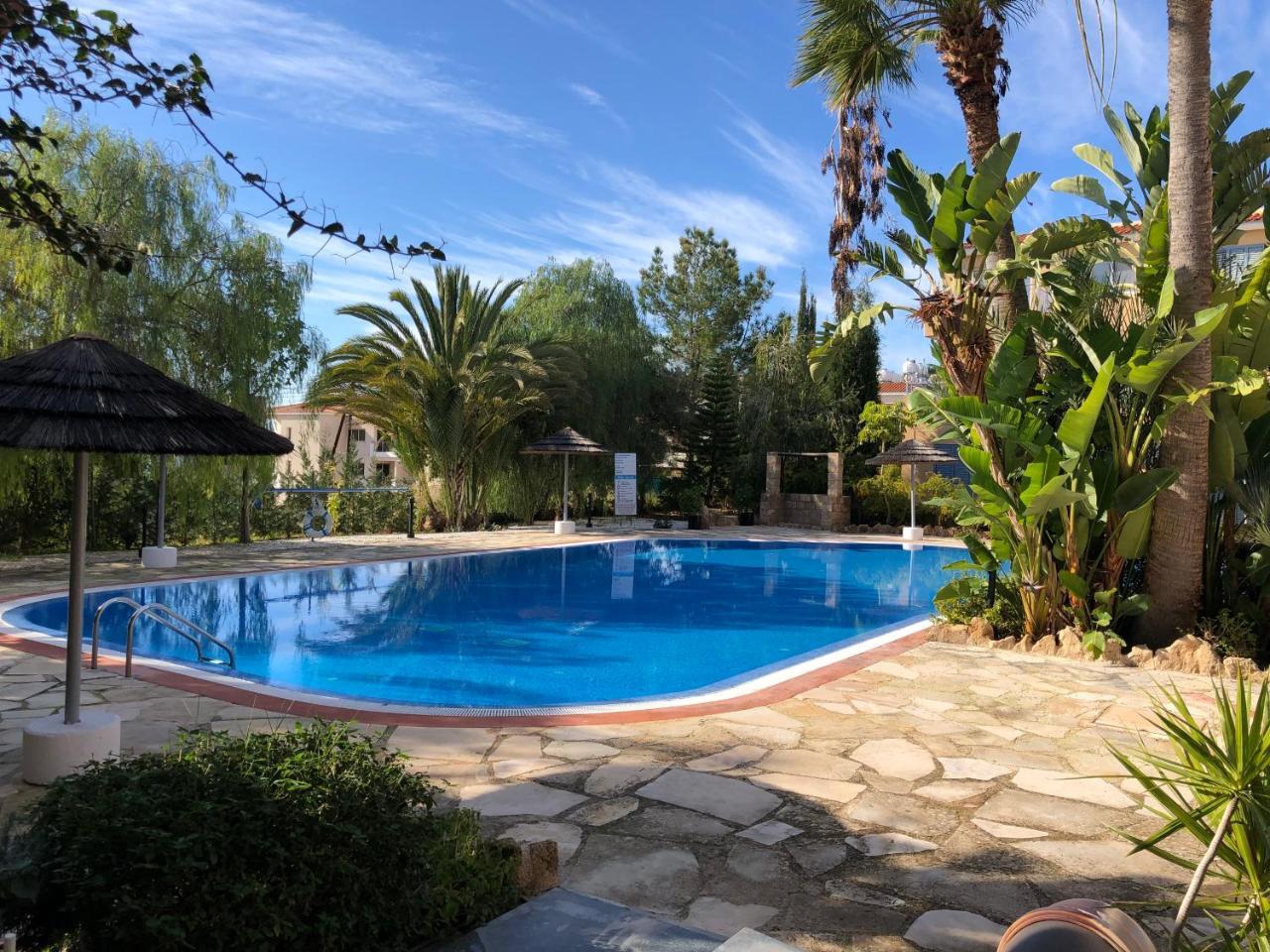 Schones 3 Zimmer Apartment Meerblick Pool Freies Wlan — 4-Star Luxury Hotel in Pegeia, Cyprus