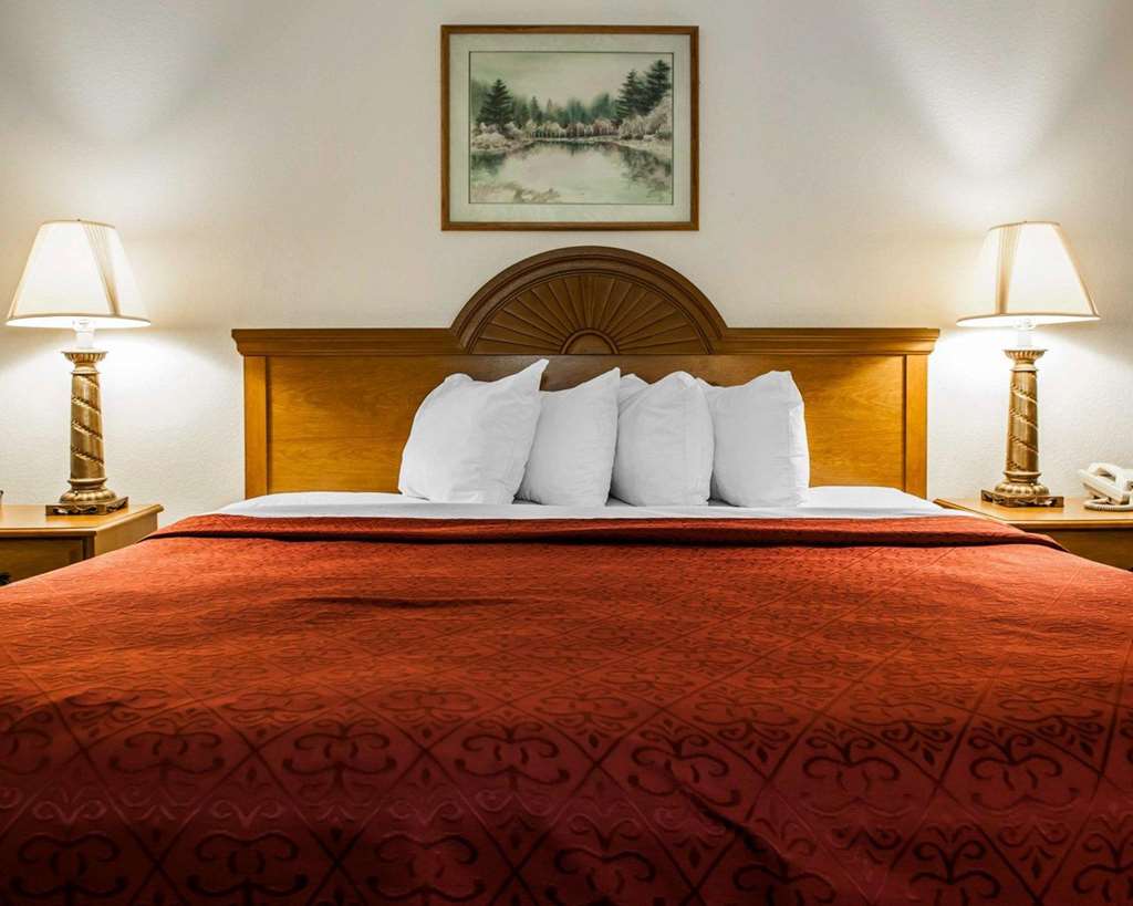 Quality Inn Rochester South - photo 16