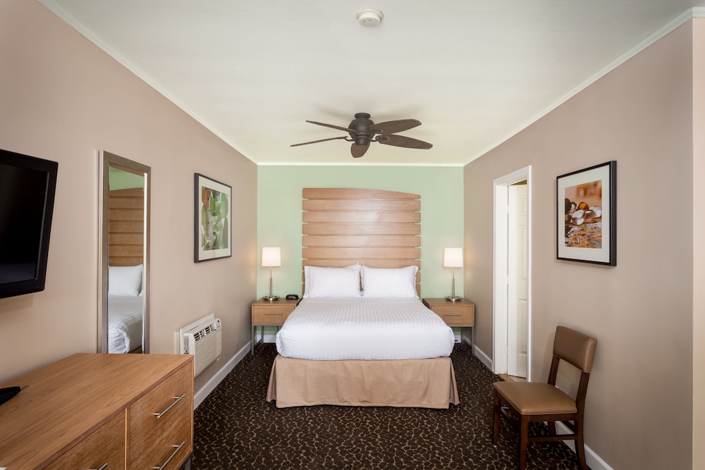Holiday Inn Express & Suites La Jolla Windansea Beach by IHG - photo 8