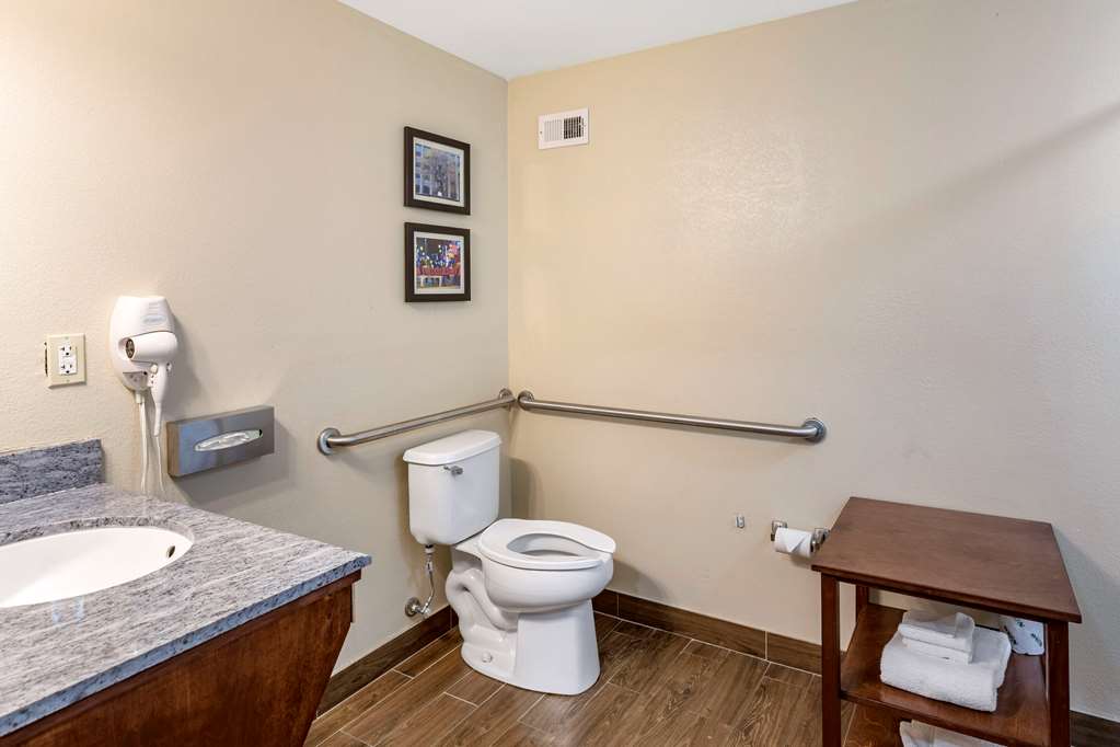 Comfort Inn & Suites Atoka Millington - photo 23