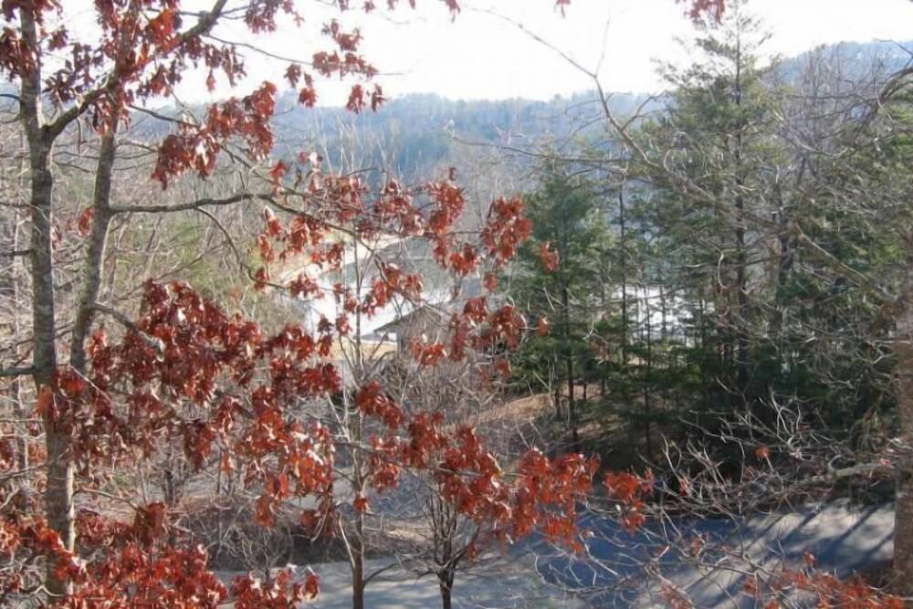 Rumbling Bald Resort - photo 85
