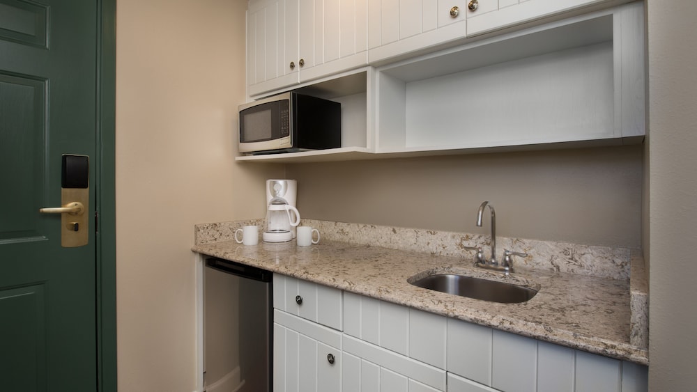 Disney's Hilton Head Island Resort - photo 16