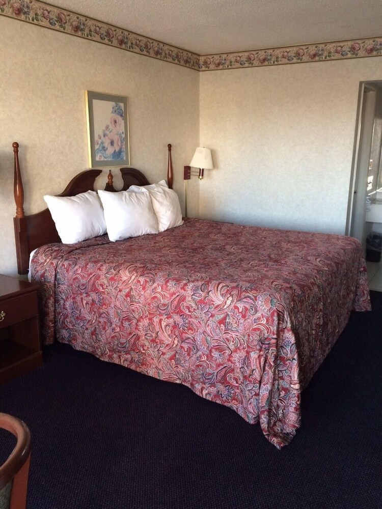All Day Inn - photo 6
