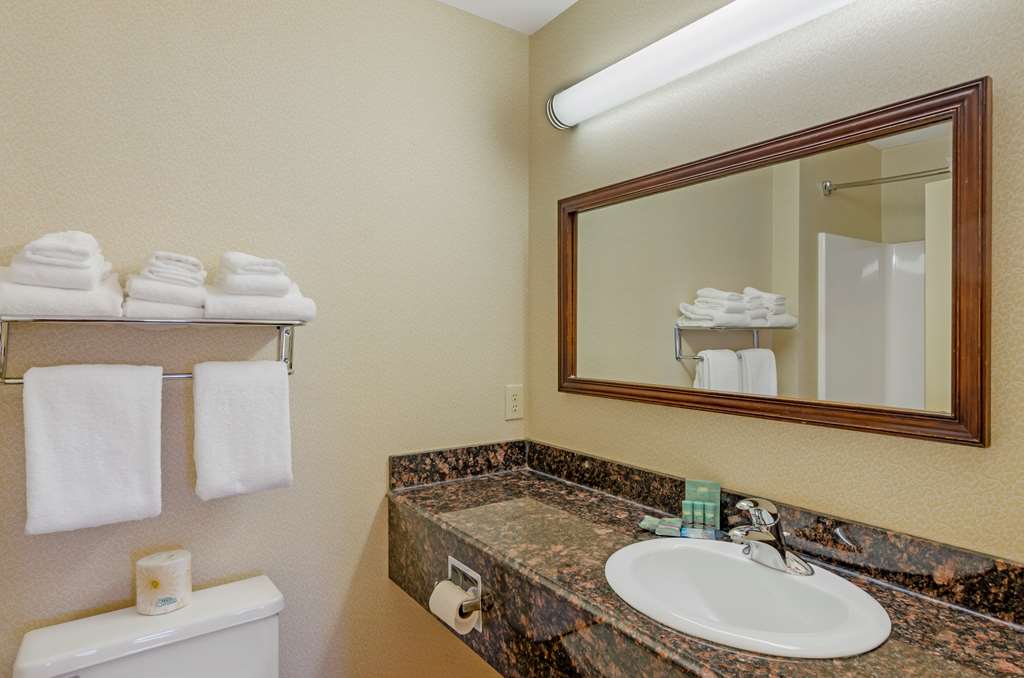 Best Western North Roanoke - photo 22