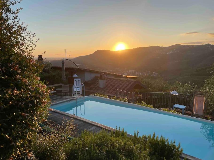 La Cicala Sulle Colline Della Versilia Con Piscina — Massarosa