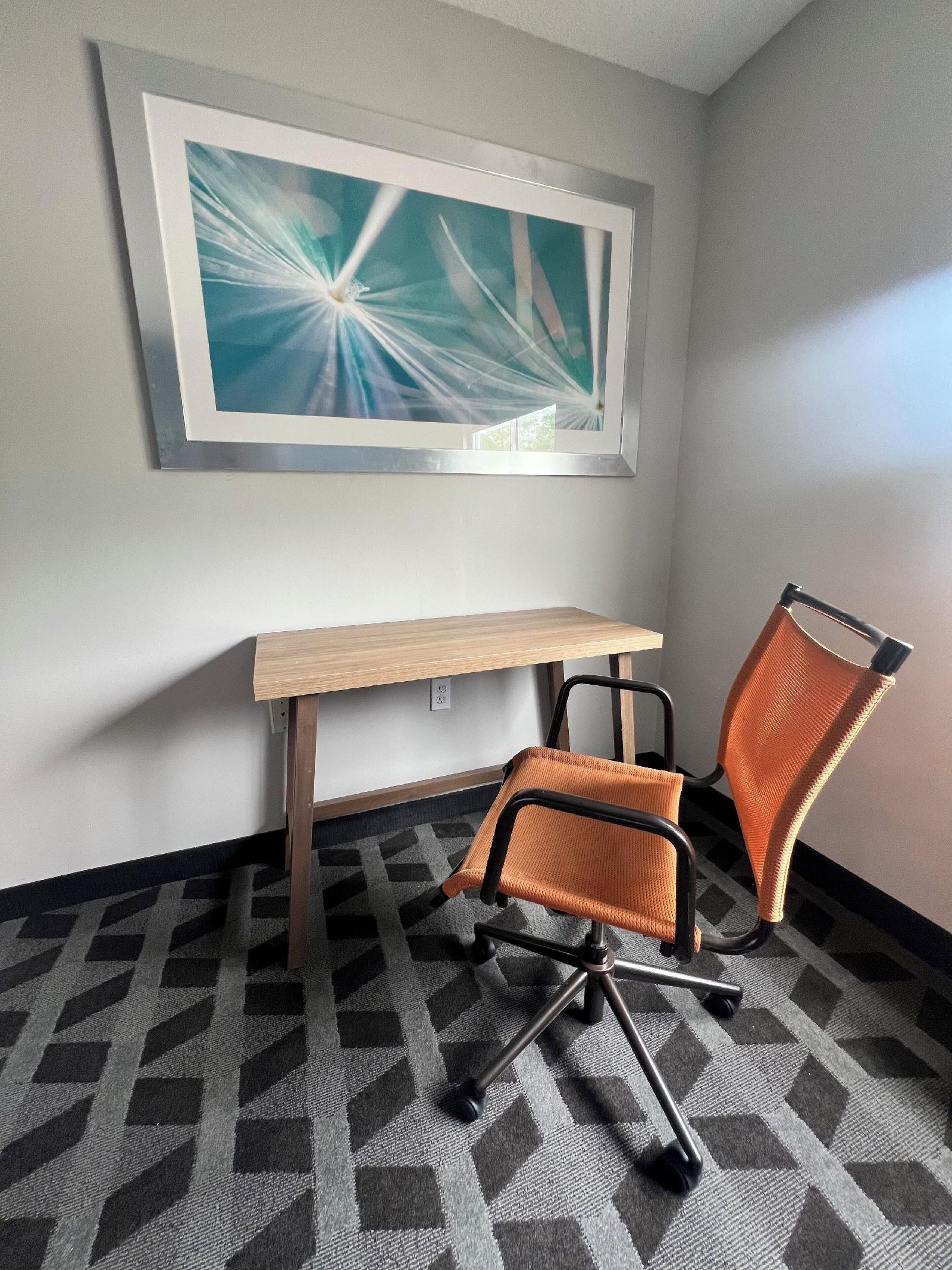 Baymont by Wyndham Dowagiac - photo 11