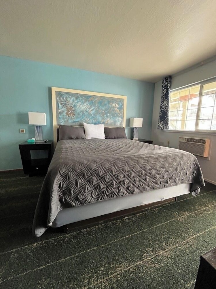 Bluebird Day Inn & Suites - photo 13