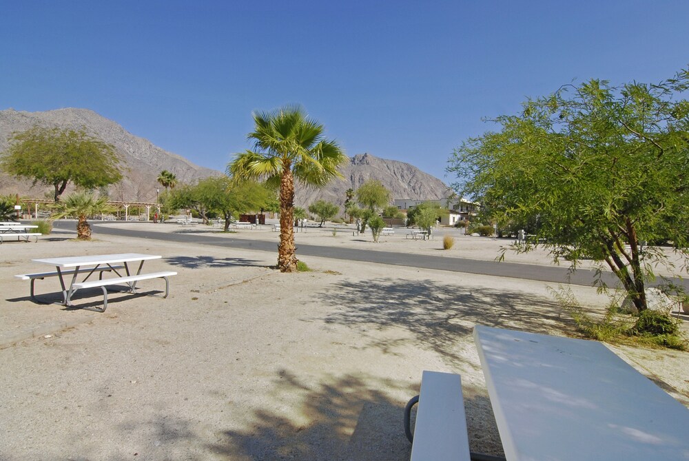 Palm Canyon Hotel & RV Resort - photo 22