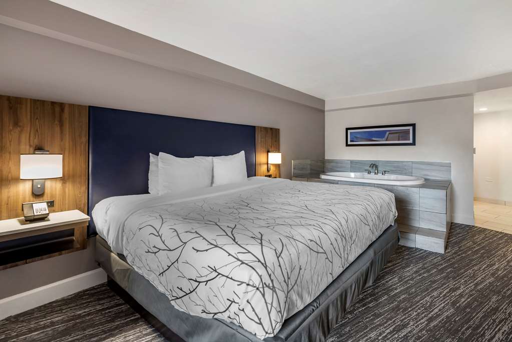 Best Western Premier Denver East - photo 22