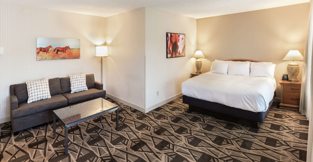 DoubleTree by Hilton Durango - photo 18