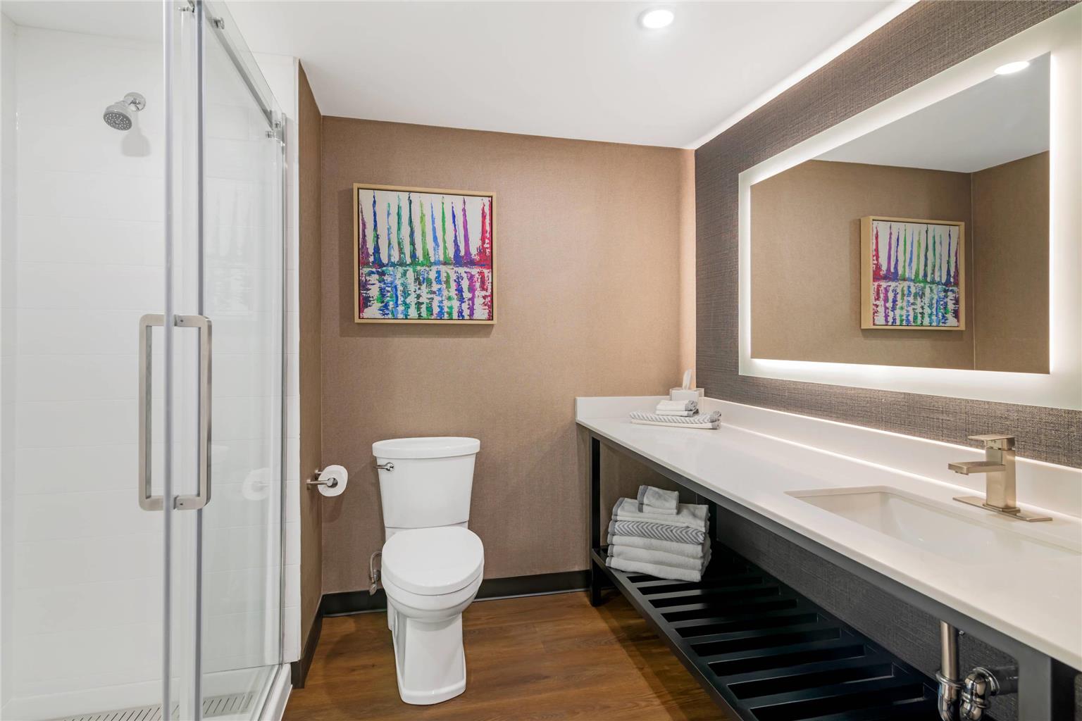 Cambria Hotel & Suites Plymouth - photo 21