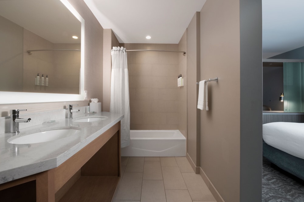 SpringHill Suites by Marriott Fort Worth Historic Stockyards - photo 30
