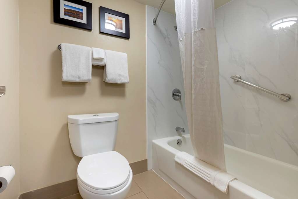 Comfort Inn Binghamton I 81 - photo 15