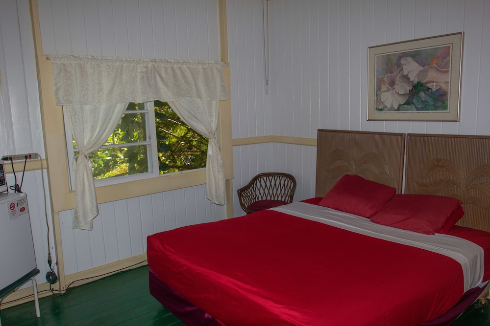 Wild Ginger Inn Hotel - photo 14