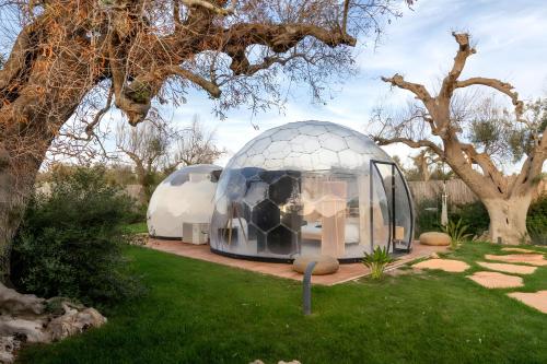 Folià Natural Experience in San Vito Dei Normanni, Italy