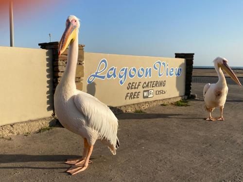 Lagoon View Self Catering — Walvis Bay — photo 3