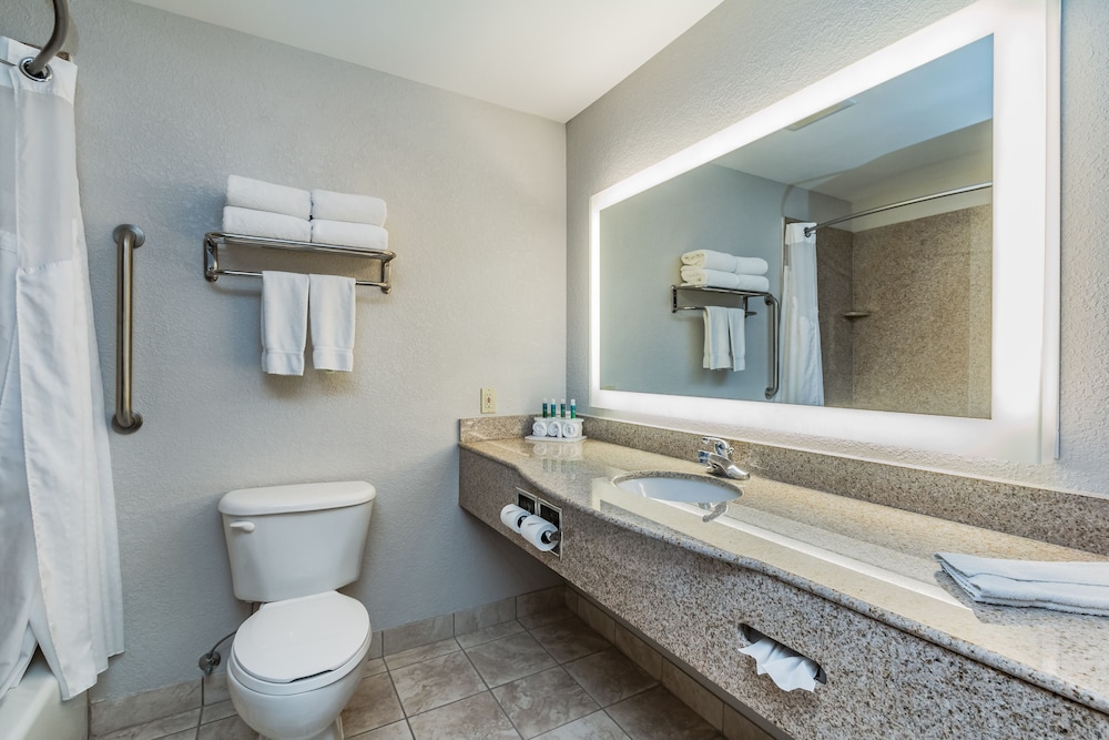 Holiday Inn Express Hotel & Suites South Bend by IHG - photo 57