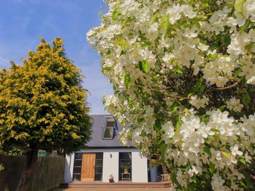 Hastings Casita 'little house' self contained garden lodge close to town and seafront — 4-Star Luxury Hotel in Hastings, United Kingdom