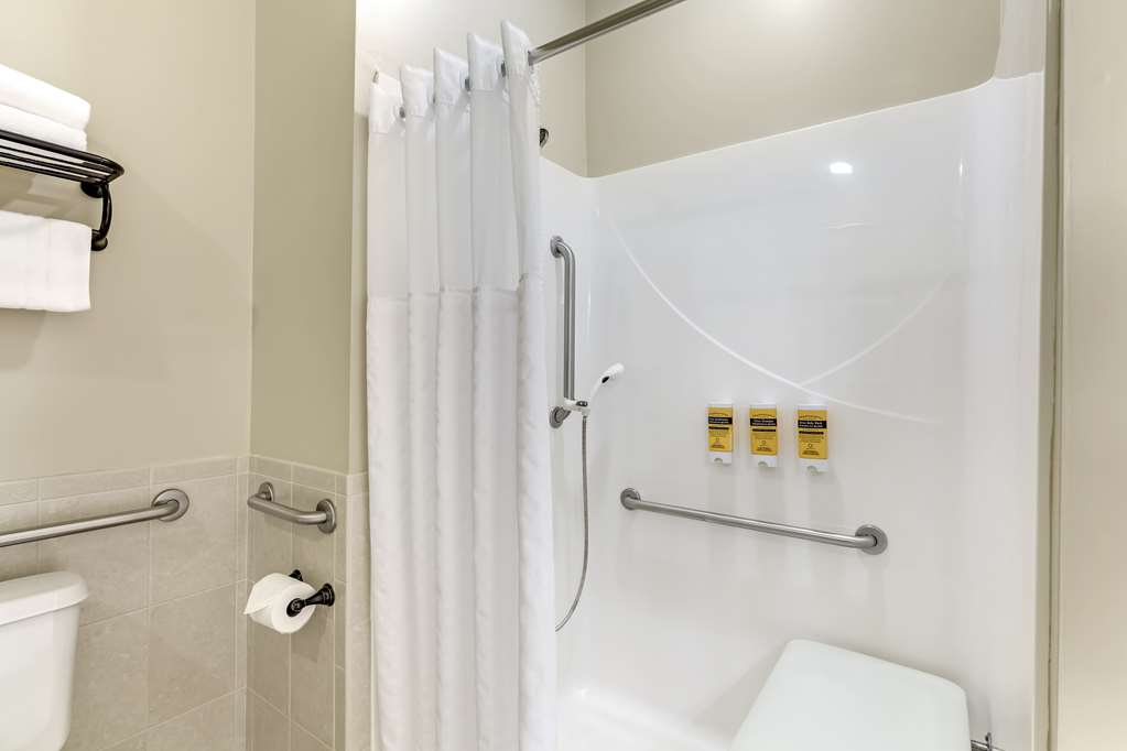 Best Western Plus Dutch Haus Inn and Suites - photo 36