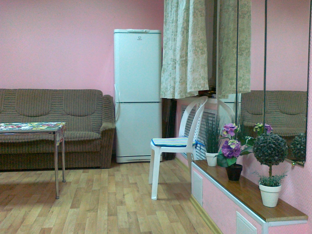 S Druzyami Hostel
