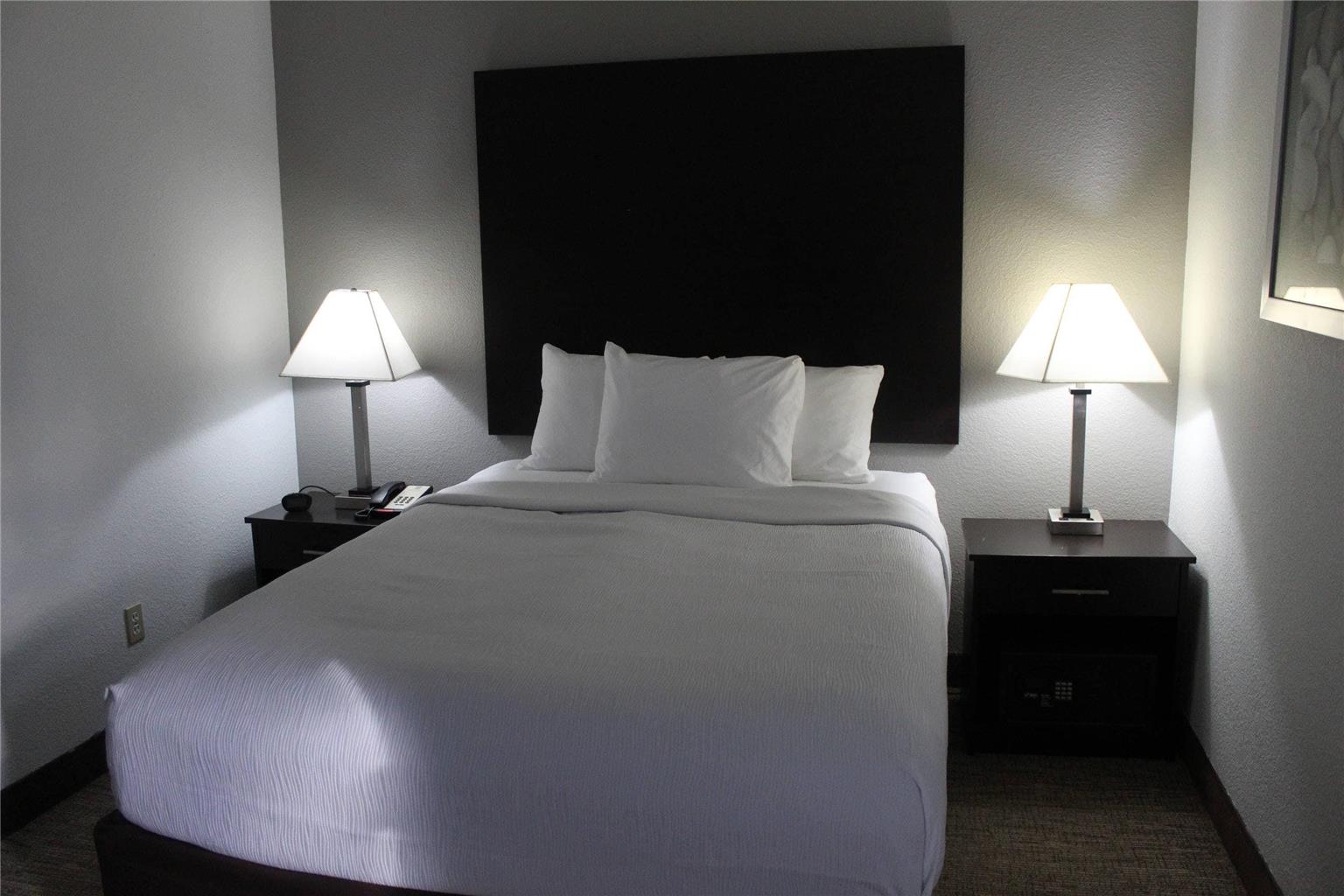 Quality Inn and Suites University Area - photo 49