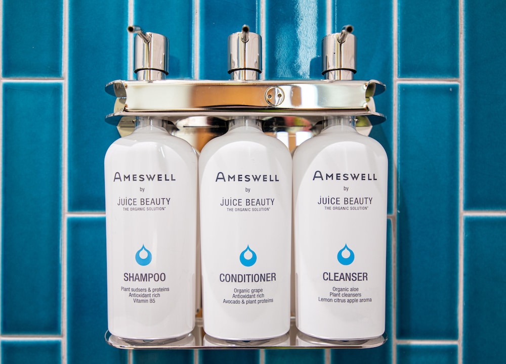 The Ameswell Hotel - photo 20