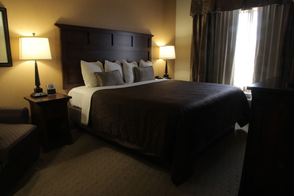 Teddy's Residential Suites Watford City - photo 7