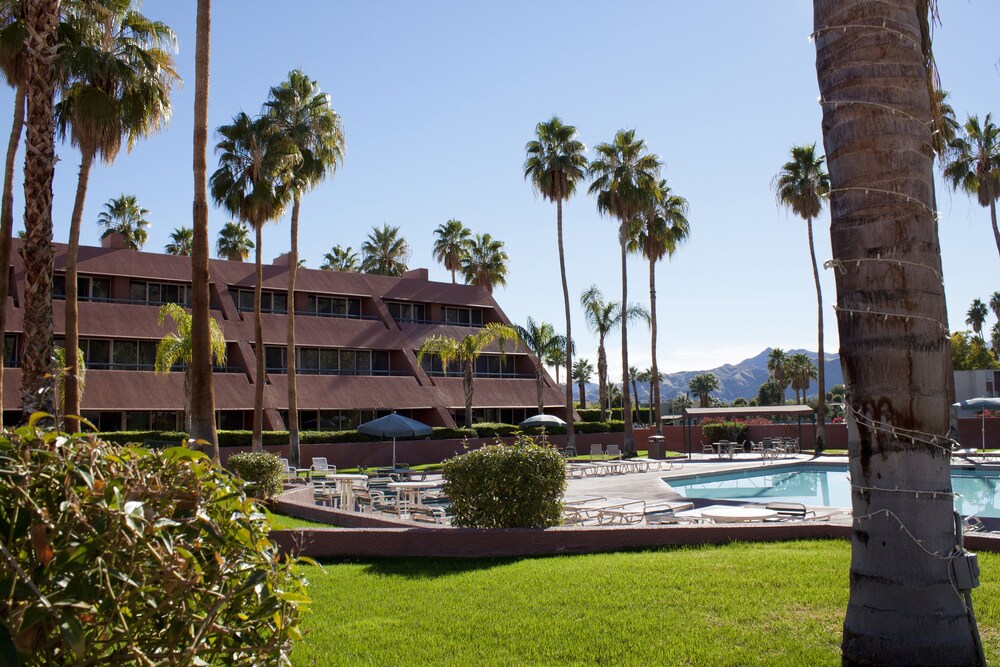 Marquis Villas Resort - photo 25